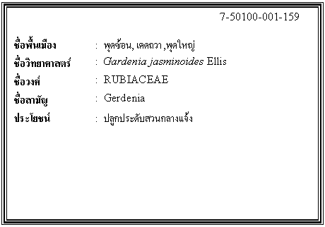 กล่องข้อความ: 7-50100-001-159 ชื่อพื้นเมือง : พุดซ้อน, เคดถวา ,พุดใหญ่ ชื่อวิทยาศาสตร์ : Gardenia jasminoides Ellis ชื่อวงศ์ : RUBIACEAE ชื่อสามัญ : Gerdenia ประโยชน์ : ปลูกประดับสวนกลางแจ้ง